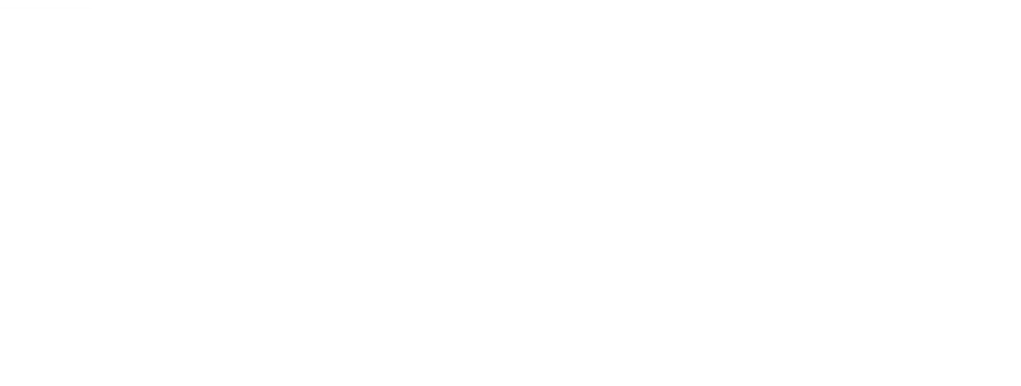 Barnes Wendling Logo White